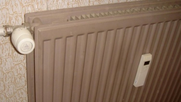 Снимка: Булфото