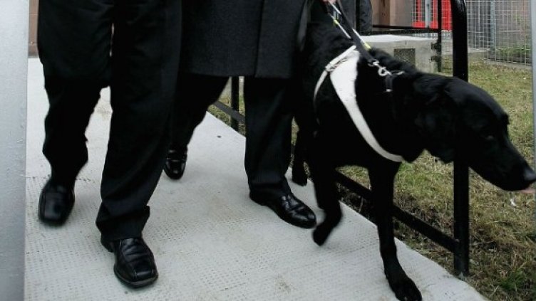 Снимка: Getty Images/Guliver Photos