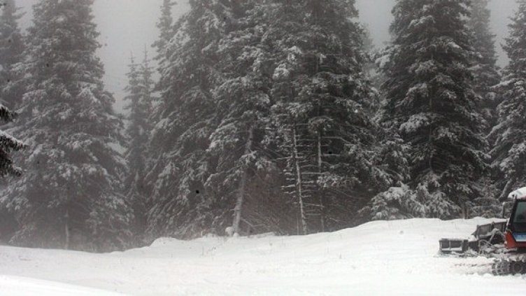 Снимка: БГНЕС