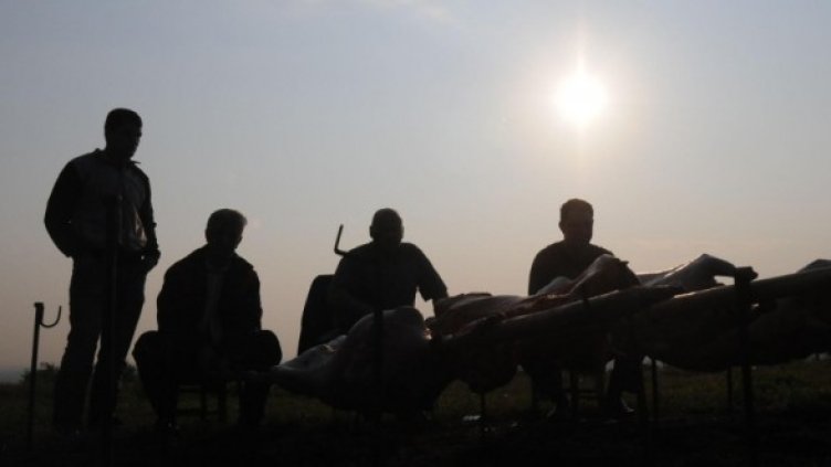 Снимка: Булфото