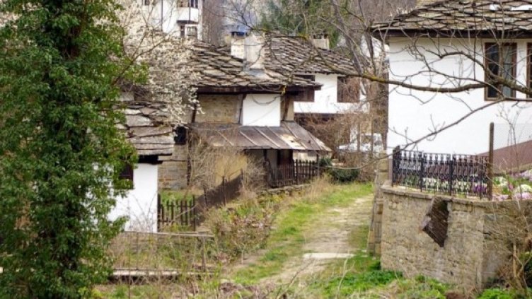 Снимка: Булфото