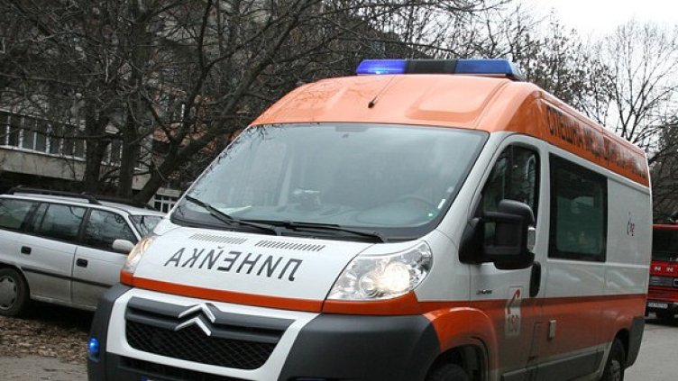Снимка: БГНЕС