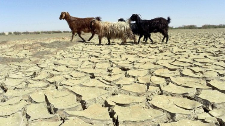 Снимка: Getty Images/Guliver Photos