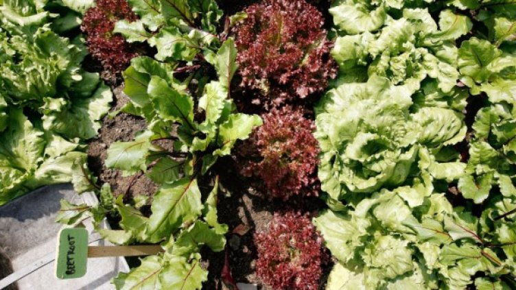 Снимка: Getty Images/Guliver Photos