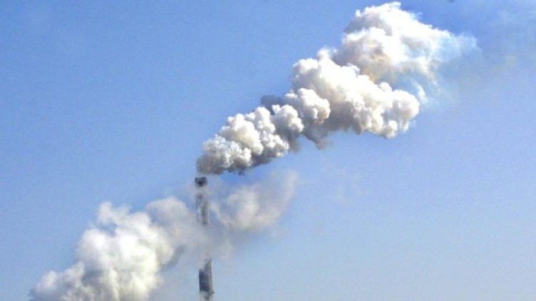 Снимка: Булфото