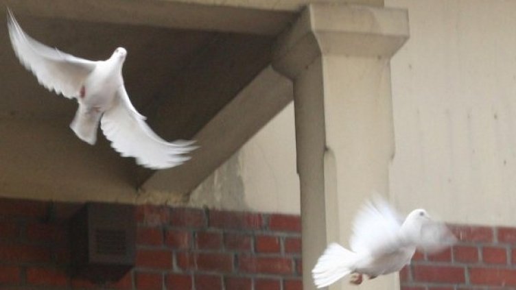 Снимка: Булфото