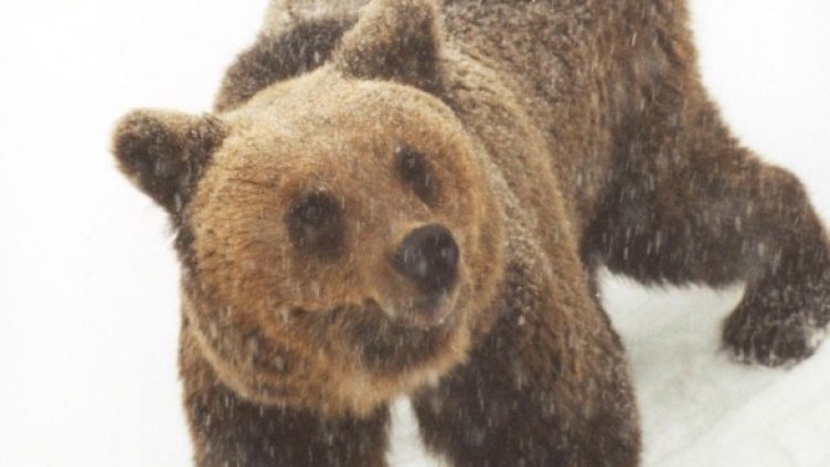 Снимка: Булфото