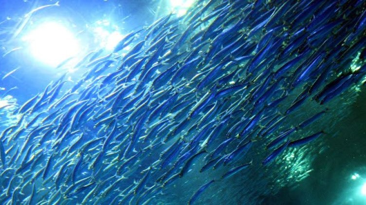 Снимка: Getty Images/Guliver Photos