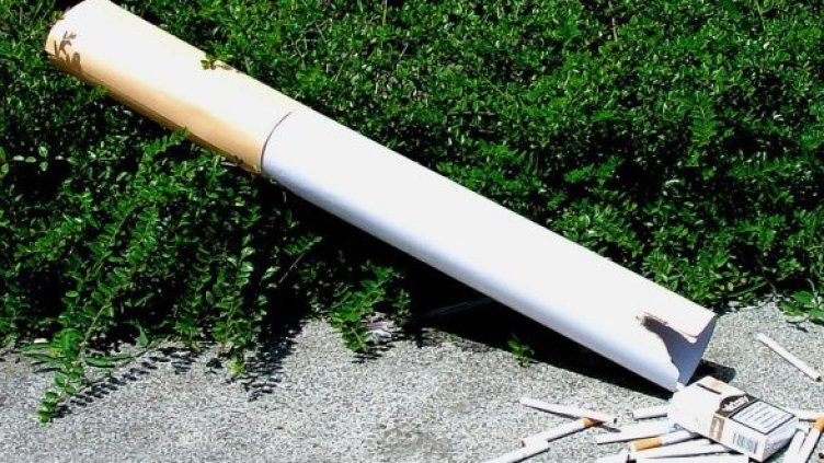 Снимка: Булфото