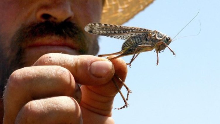 Снимка: Булфото