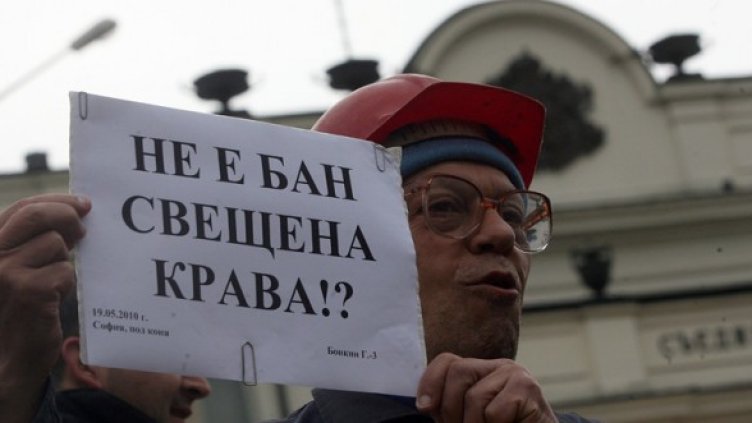 На 19 май учените протестираха пред Народното събрание. Снимка: БГНЕС