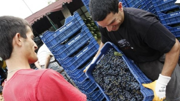 Снимка: Булфото