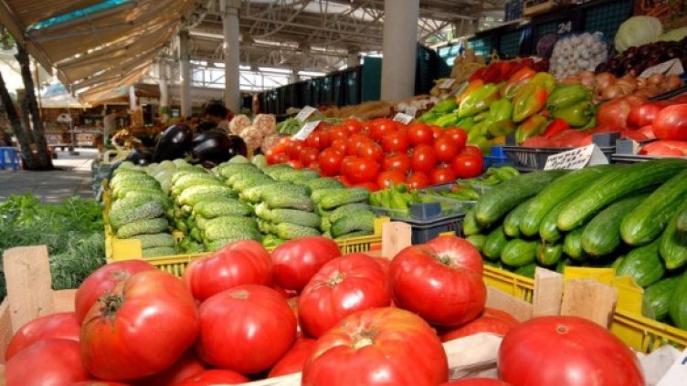 Снимка: Булфото