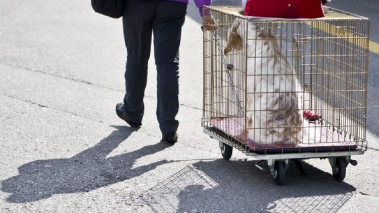 Служител отвежда стрелеца. Снимка: БГНЕС