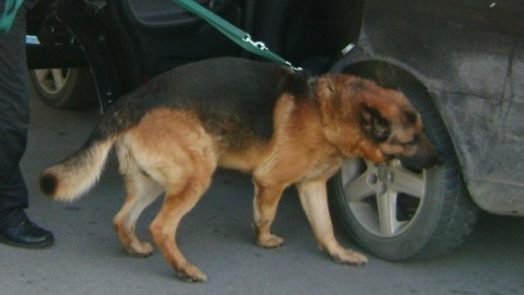 Снимка: Агенция "Митници"