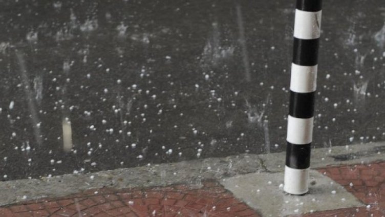 Снимка: Булфото