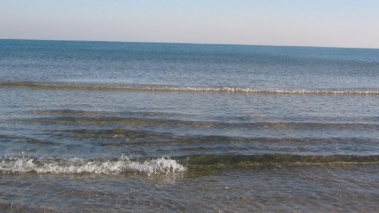 Снимка: Булфото