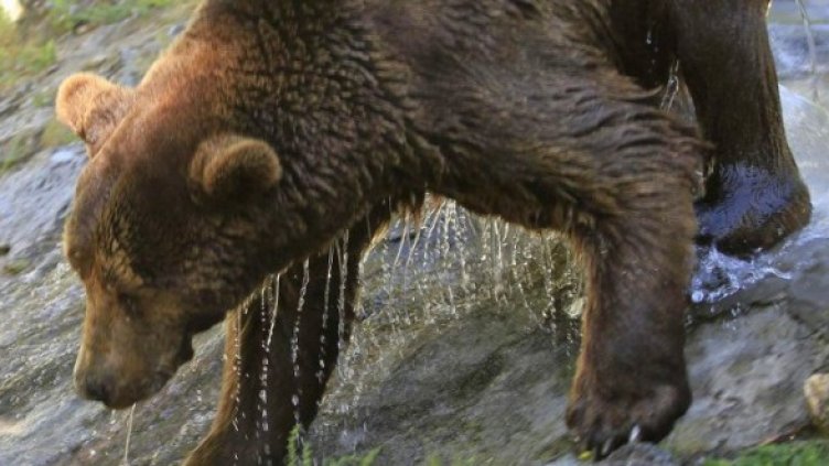 Снимка: Булфото