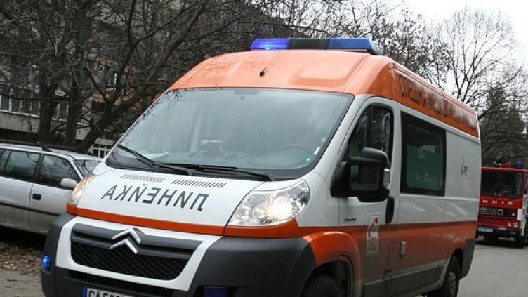Снимка: БГНЕС