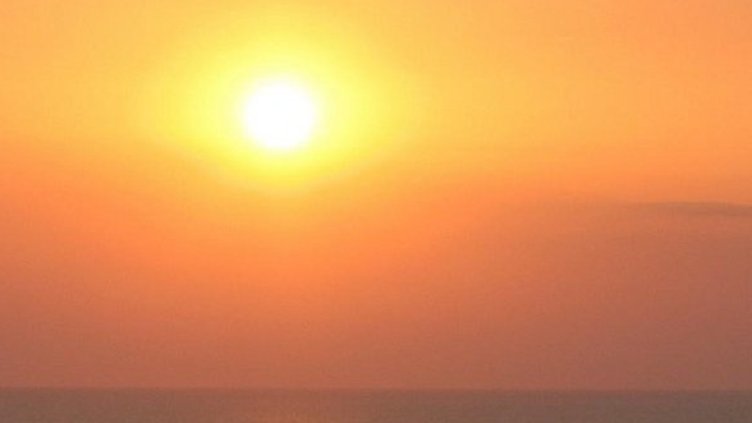 Снимка: Булфото