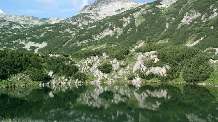 Снимка: Булфото