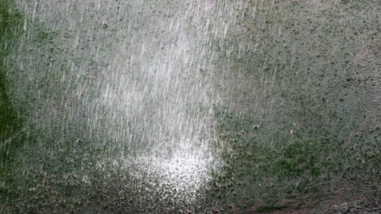 Снимка: Getty Images/Guliver Photos