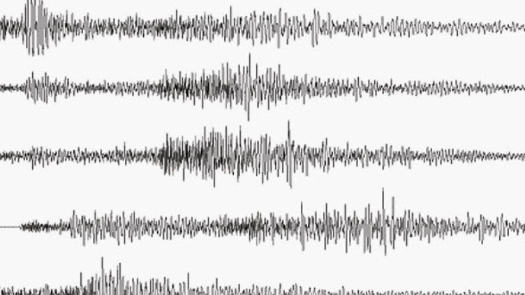 Снимка: Getty Images/Guliver Photos