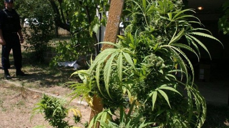 Снимка: Булфото