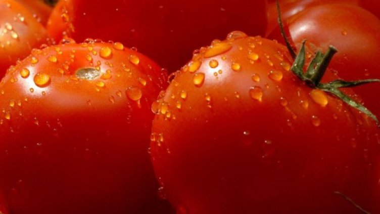 Снимка: Булфото