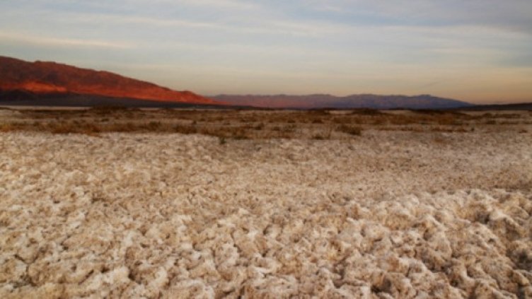 Снимка: Getty Images/Guliver Photos