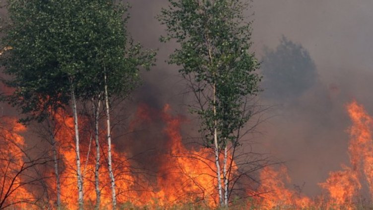 Снимка:  БГНЕС