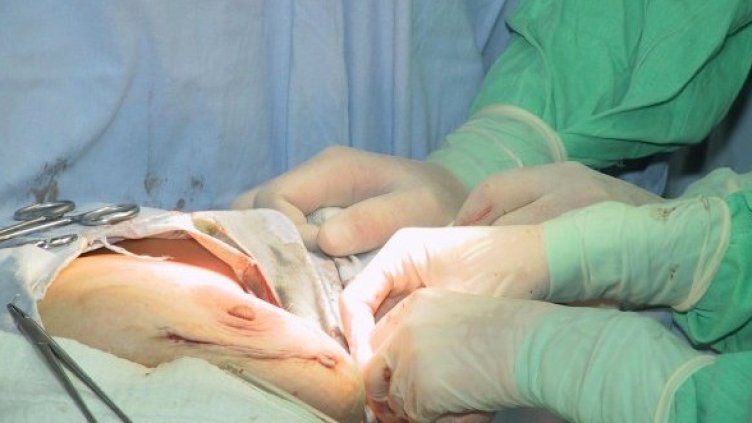 Снимка: Булфото