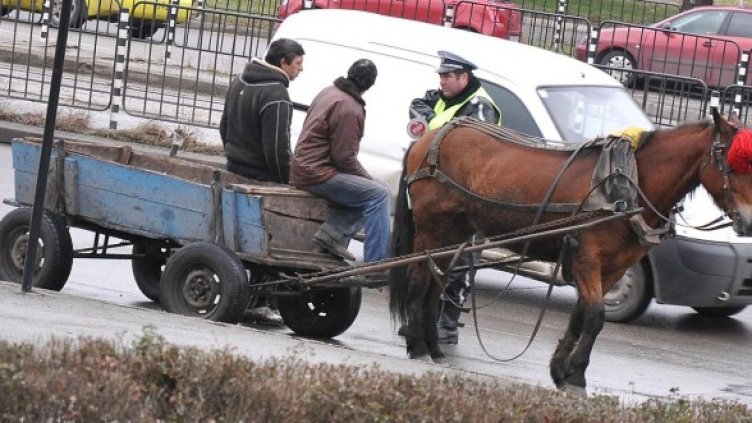 Снимка: Булфото