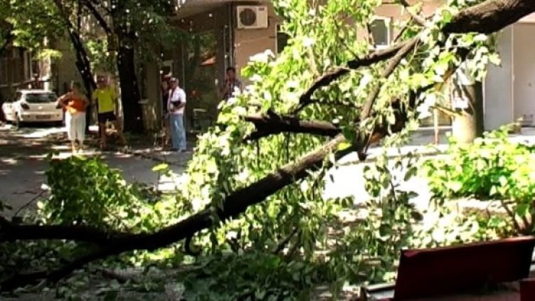 Клон блокира с часове централна улица в Стара Загора