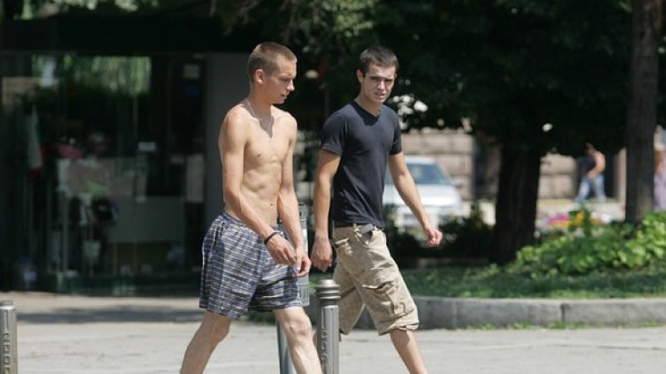 Снимка: БГНЕС