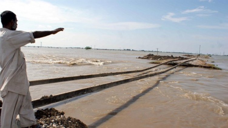 Снимка:  БГНЕС