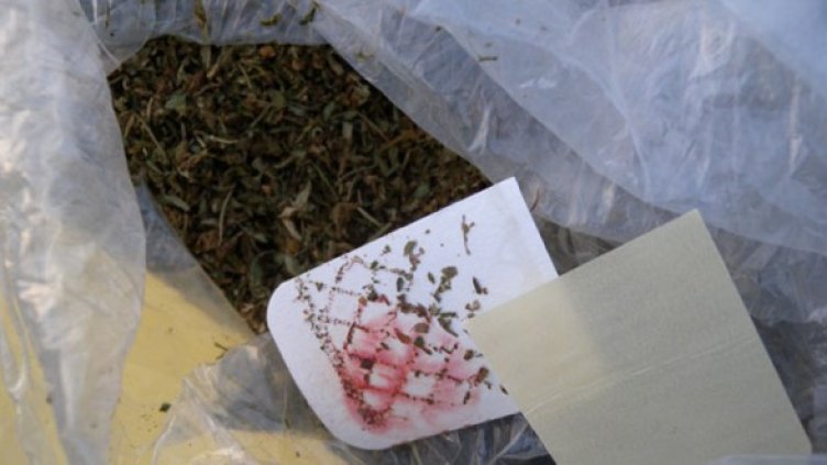 Снимка: МВР