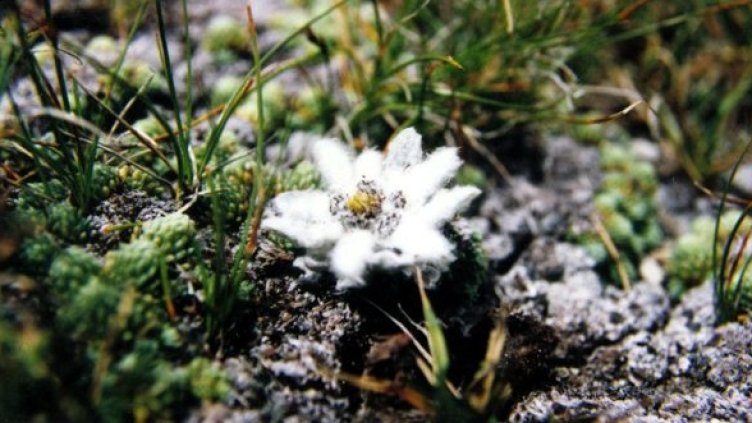 Снимка: Булфото