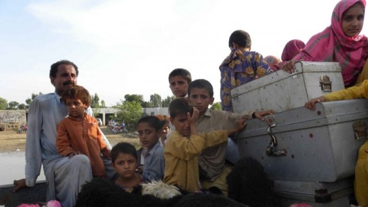 Снимка:  БГНЕС