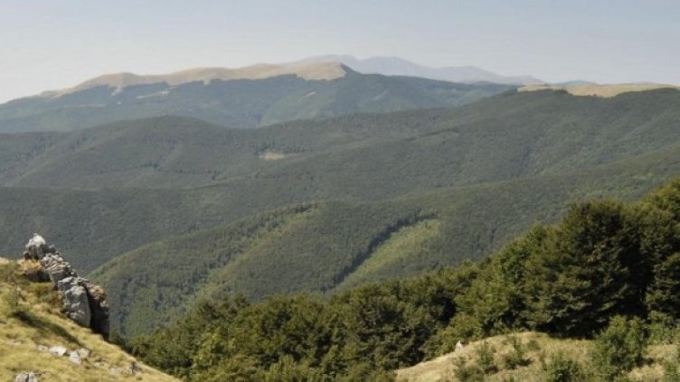 Снимка: Булфото