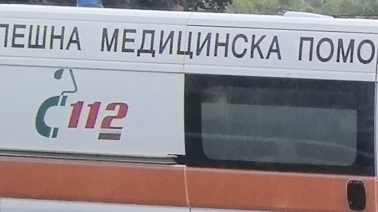 БГНЕС, архив