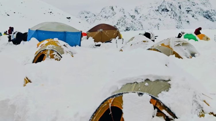 Снимки: Shu Wei