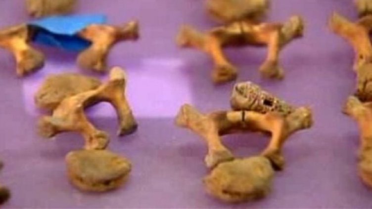 Гробище на ацтеки под метрото в Мексико