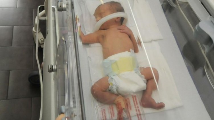 Снимка: Булфото