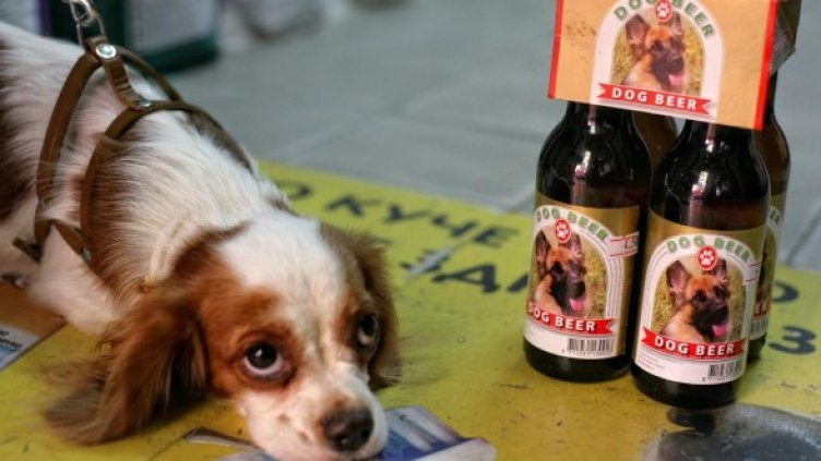 Снимка: Булфото