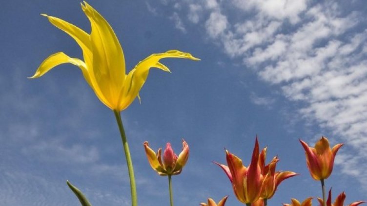 Снимка: Булфото