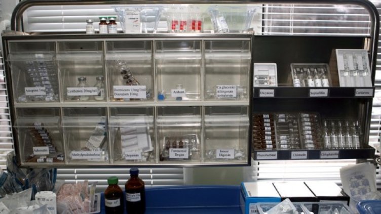 Снимка: БГНЕС