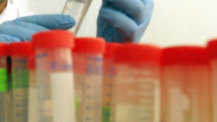 Снимка:Булфото