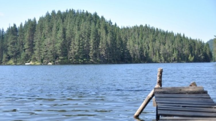 Снимка: Калина Терзиева