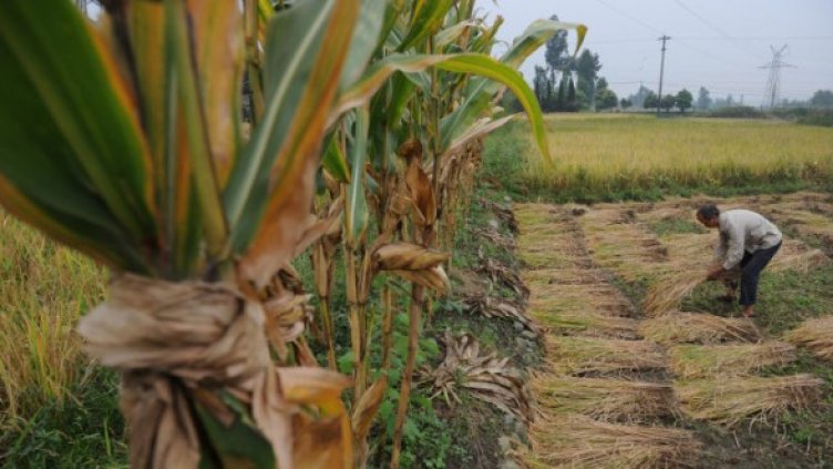 Снимка: Getty Images/Guliver Photos